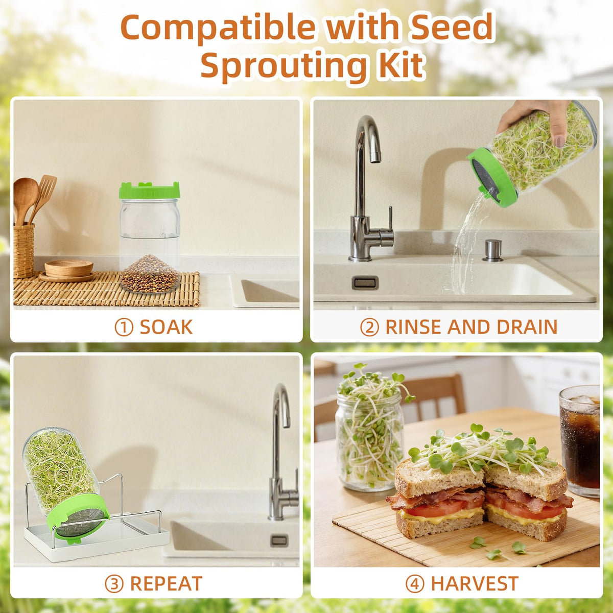 TitaniX high germination seeds deliver consistent sprouts batch after batch.