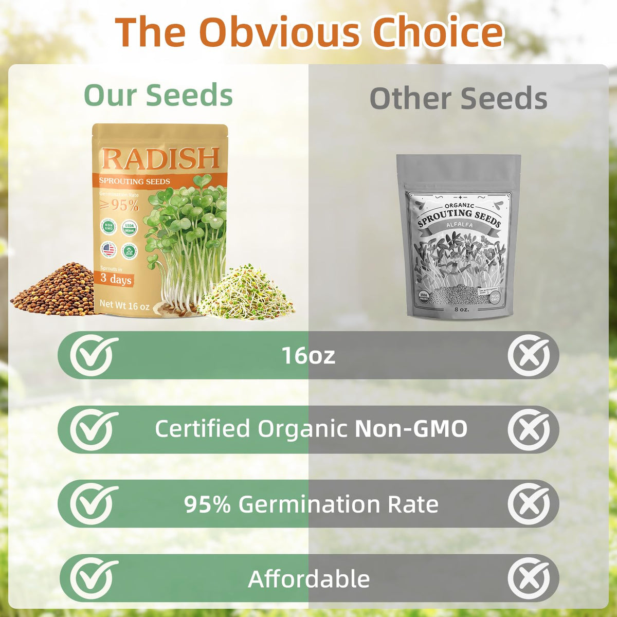 TitaniX indoor sprouting trays illustrate soil-free, beginner-friendly growth.