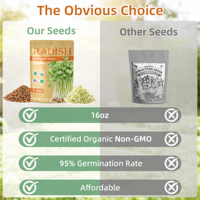 TitaniX indoor sprouting trays illustrate soil-free, beginner-friendly growth.