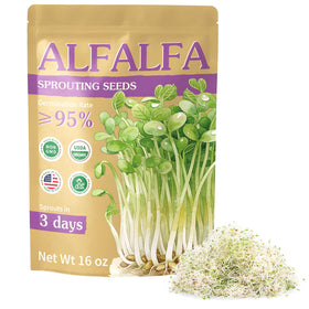 TitaniX organic alfalfa sprout seeds in a 16oz bag for convenient home sprouting.