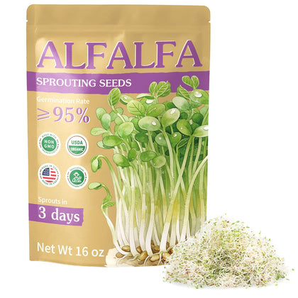 TitaniX organic alfalfa sprout seeds in a 16oz bag for convenient home sprouting.