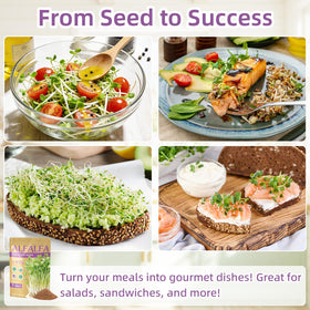 TitaniX sprouts in a bowl ready for fresh meals.