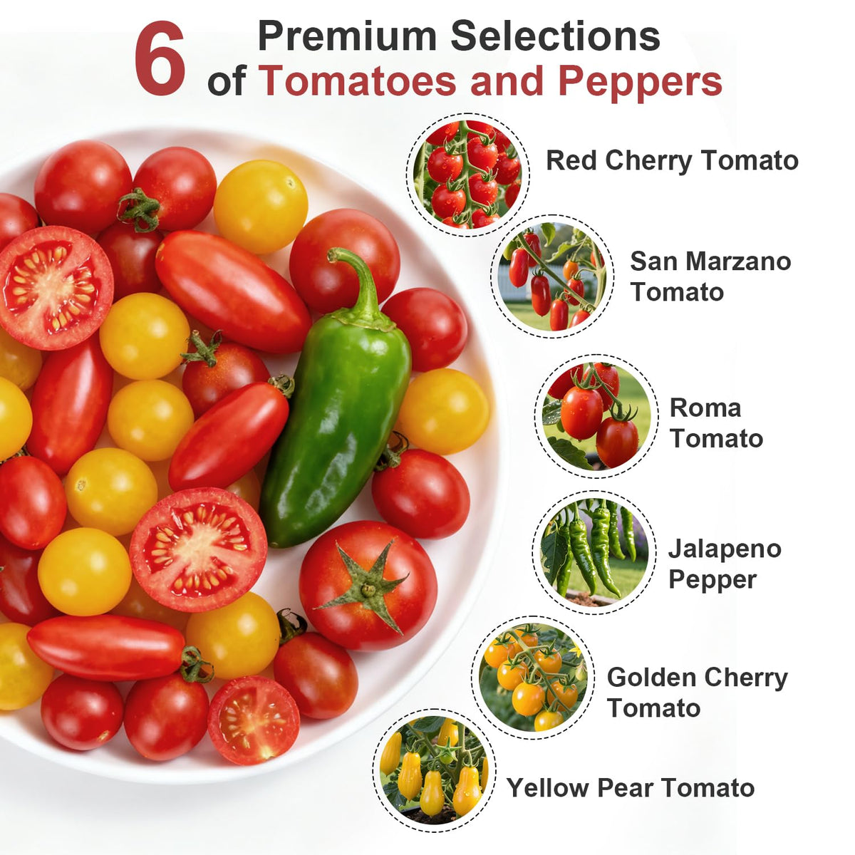 TitaniX USA heirloom seeds in resealable packaging for fresh planting.