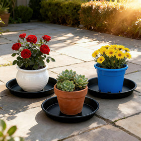 TITE 3-pack plant saucers in use for indoor balcony plants.