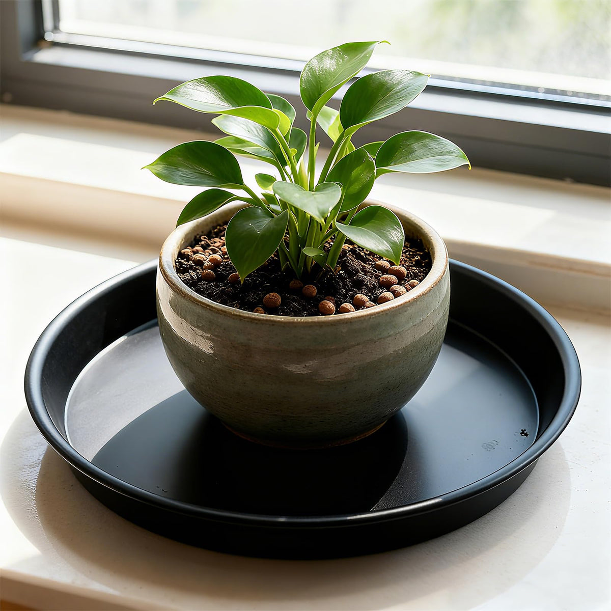 TITE plant saucer with decorative pebbles for aesthetic touch.