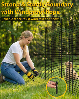 TITECK poultry protection scene shows safe enclosure against predators