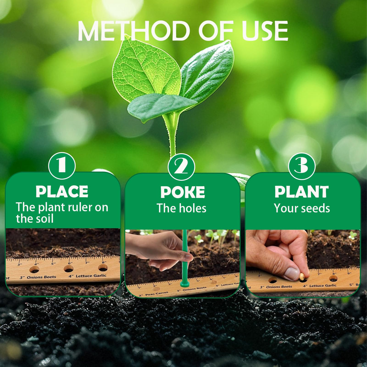 Tizee seeding spacing ruler demonstrates scientific spacing for even germination