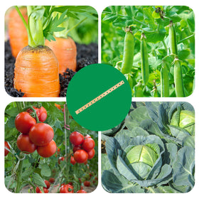 Tizee vegetable garden spacing guide promotes uniform plant spacing