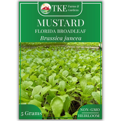 TKE Farms and Gardens Florida Broadleaf Mustard Seeds pack promotes strong germination and abundant greens.