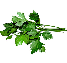 TKE Farms & Gardens hydroponic parsley setup for fast space-efficient growing