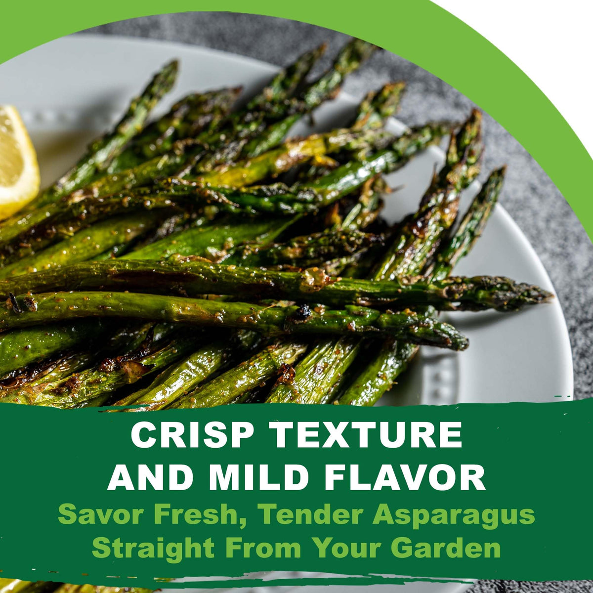 Heirloom non-GMO label on Mary Washington asparagus seed packet.