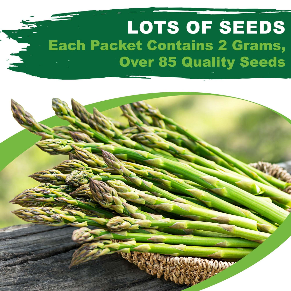 Seed-bed ready soil with Mary Washington asparagus seeds promotes successful planting.