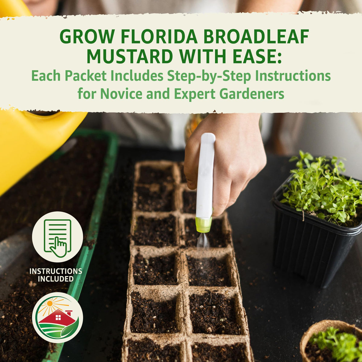 Indoor mustard greens from TKE Farms and Gardens thrive in small spaces.