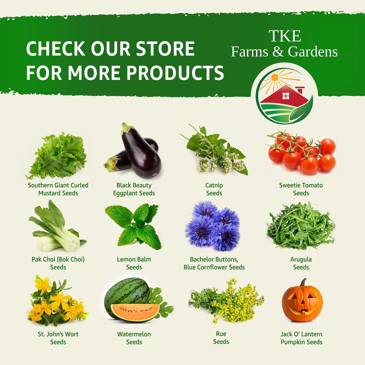 Nutrient-rich greens from TKE Farms and Gardens elevate salads and bowls.