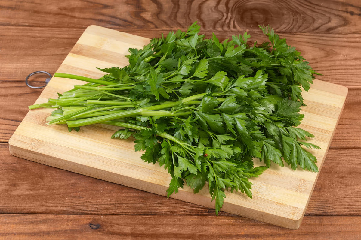 TKE Farms & Gardens vibrant parsley leaves rich in vitamins for meals