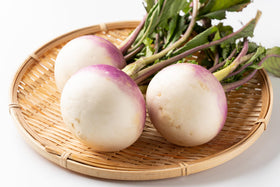 Purple Top Turnip roots with purple crown and creamy white base ready to harvest