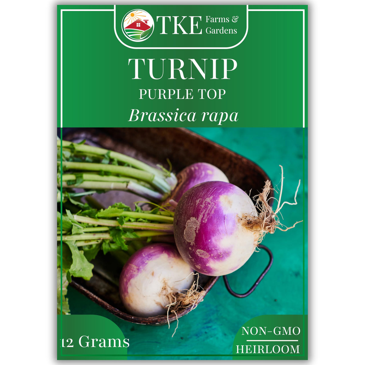 TKE Farms & Gardens Purple Top Turnip seeds packet ready for spring planting