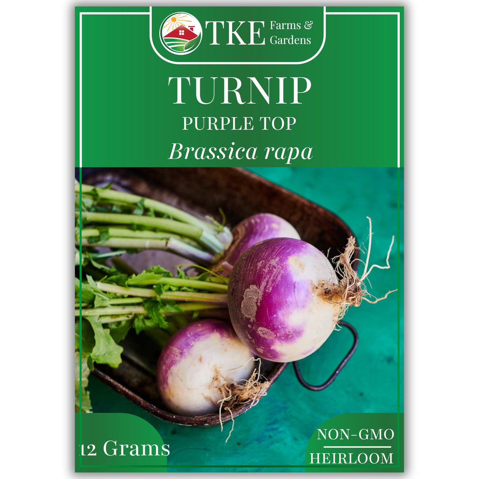 TKE Farms & Gardens Purple Top Turnip seeds packet ready for spring planting