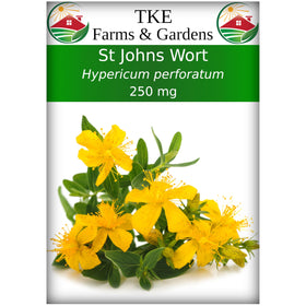 TKE Farms & Gardens St. John’s Wort seeds in a packet for easy indoor or outdoor planting