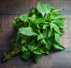 TKE Farms Thai Basil seeds come with easy planting instructions