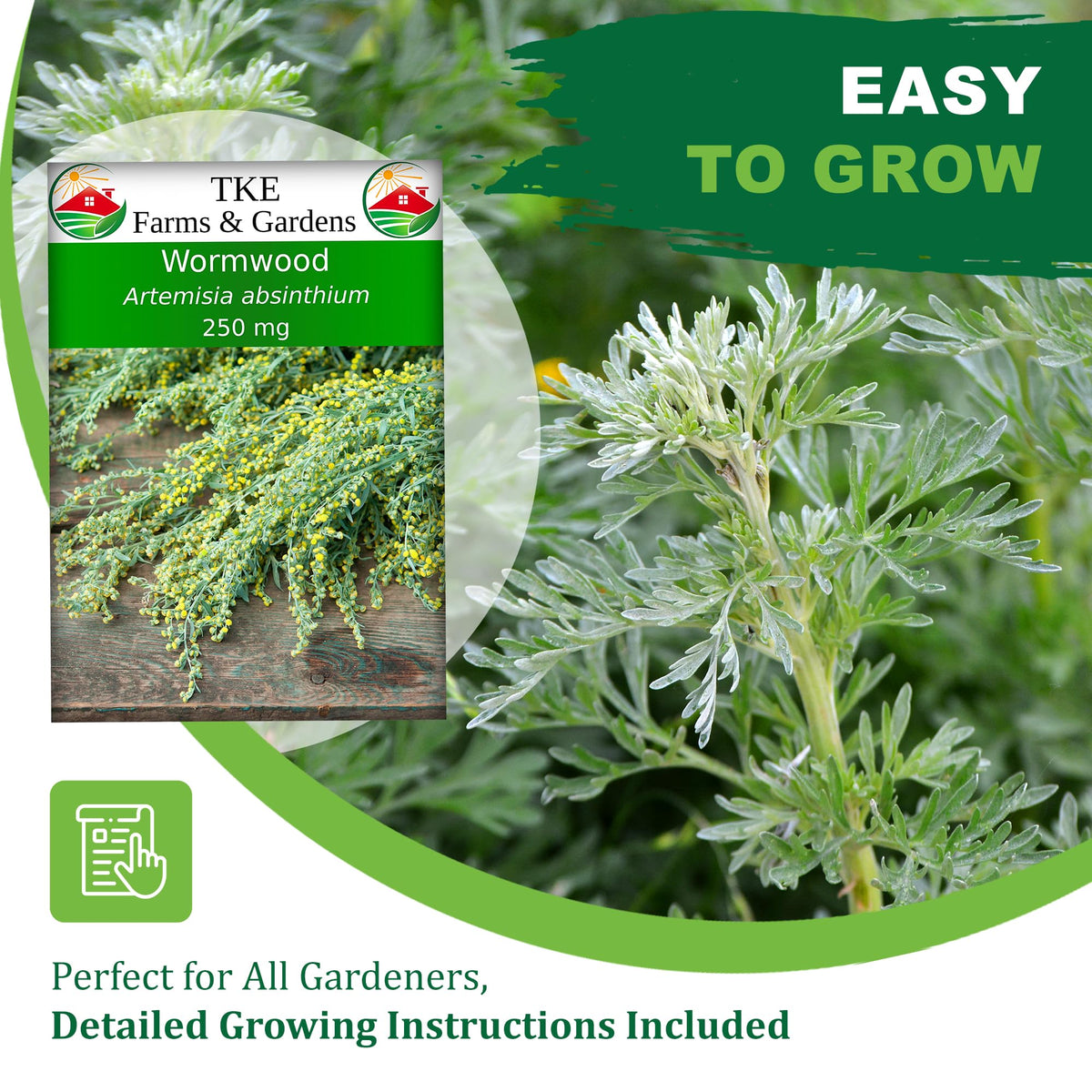 Wormwood with silvery foliage from TKE Farms for dramatic borders.