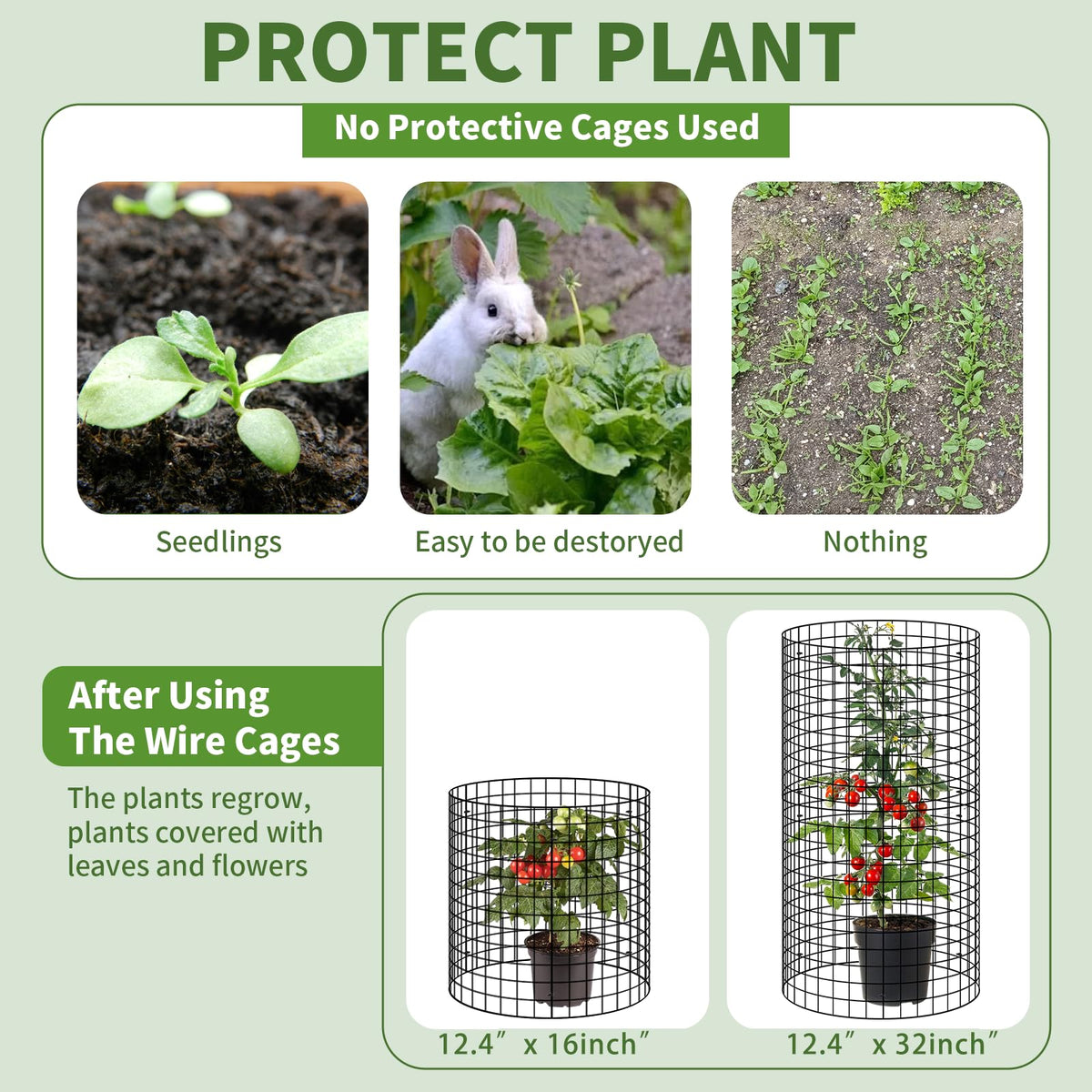 Tldcdte 13-inch by 16-inch cages suitable for tomatoes and vegetables.