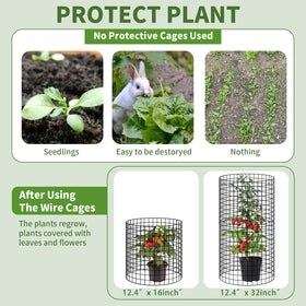 Tldcdte 13-inch by 16-inch cages suitable for tomatoes and vegetables.