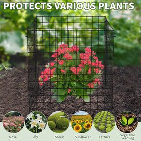 Tldcdte cages keep flowers and seedlings visible and protected.