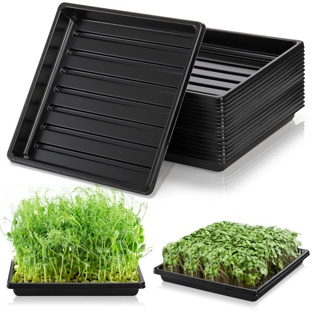 Tlence 10-pack trays for seed starting and replacements.