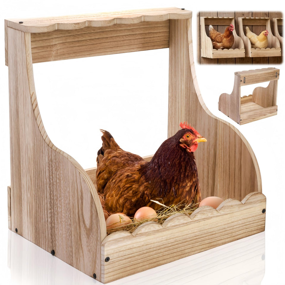 Tlence single-compartment nesting box assembly view highlighting quick setup.