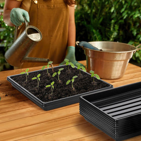 Tlence wheatgrass and microgreens tray in action.