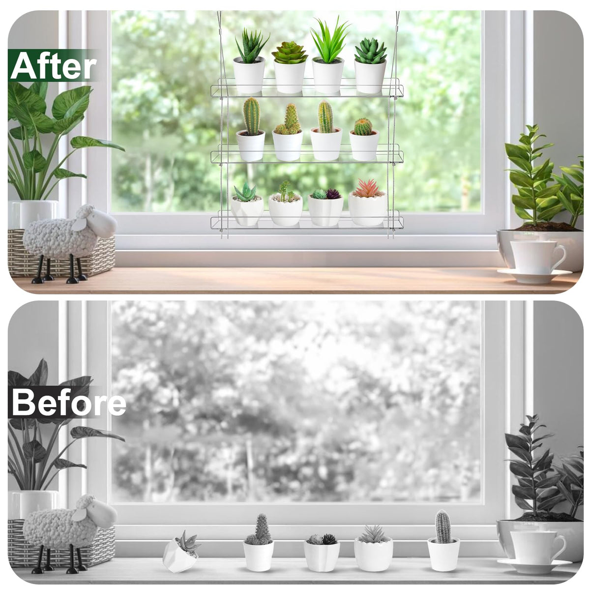 Tlence window garden setup ready out of the box for quick greenery display.