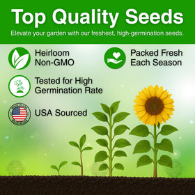 TLSSCO 394-plus heirloom seeds offer non-GMO, open-pollinated vigor for vibrant garden displays.