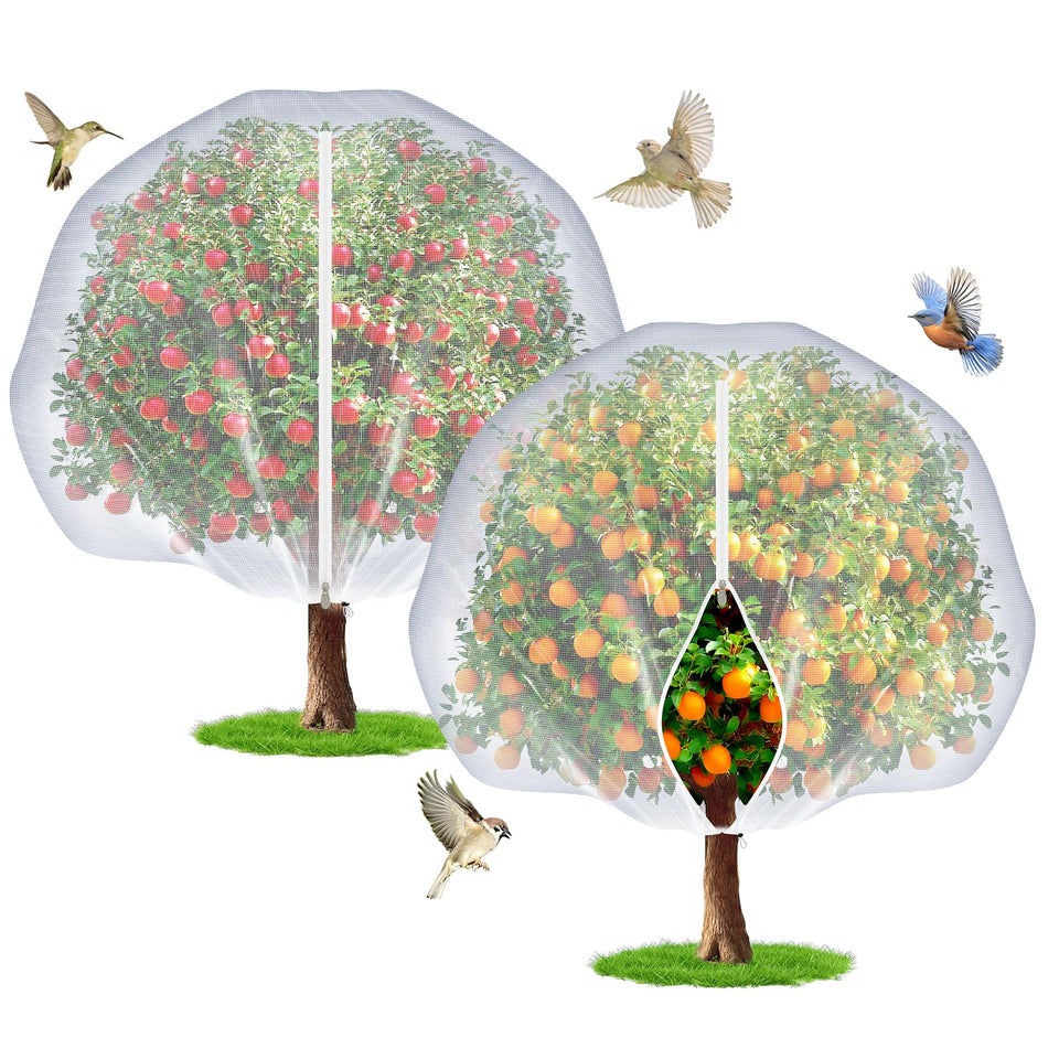 TMFsode fruit tree netting 6x6 ft over blueberries protects from birds while letting sun through.