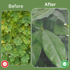 TMFsode 2-pack covers a range of crops including fruits and greens.