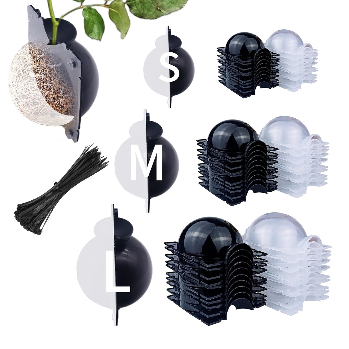 TMKCW half-transparent rooting ball shows root growth clearly