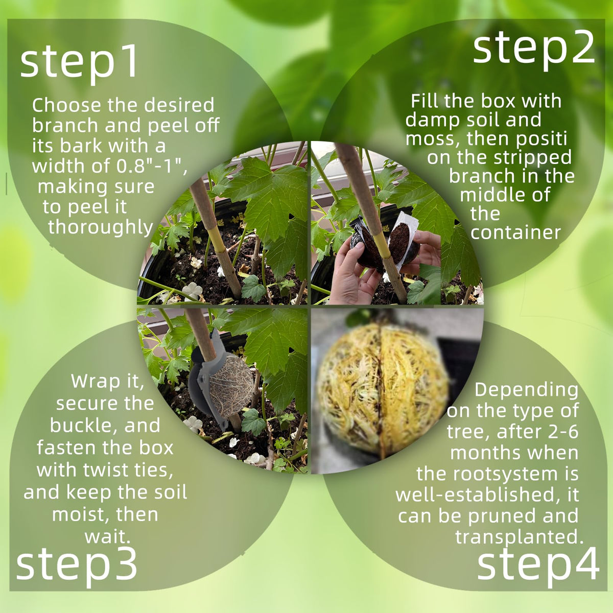 TMKCW reusable propagation tool for sustainable gardening
