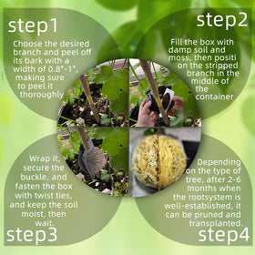 TMKCW reusable propagation tool for sustainable gardening