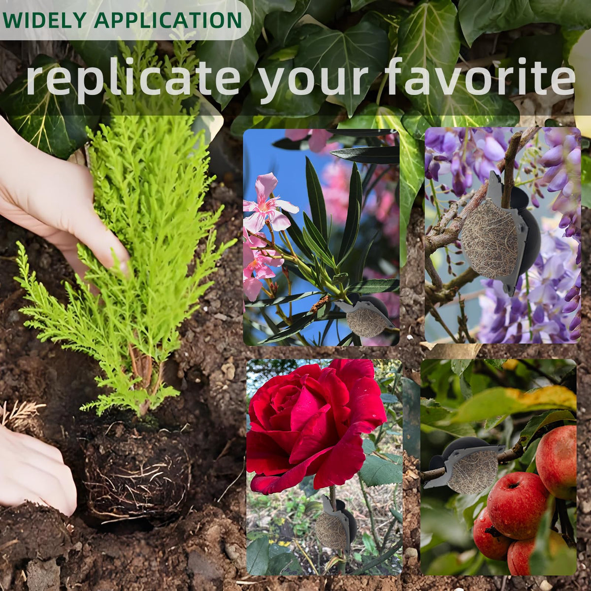 TMKCW tips for using traditional tools and rooting hormones