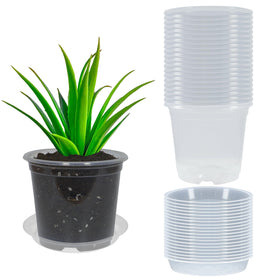 TNTIWQ 6-inch clear nursery pot with drainage for easy root observation and watering control.