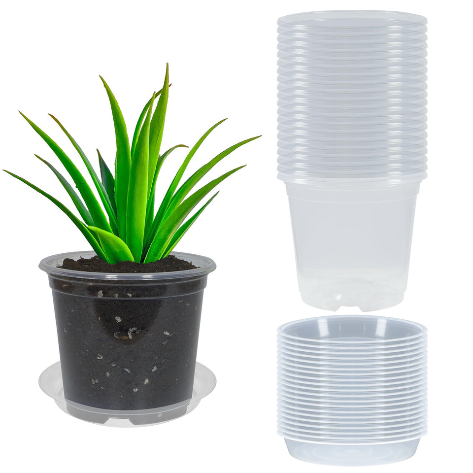 TNTIWQ 6-inch clear nursery pot with drainage for easy root observation and watering control.