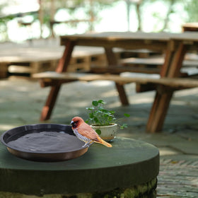 TNTIWQ decorative pebble-ready bird bath idea for garden.