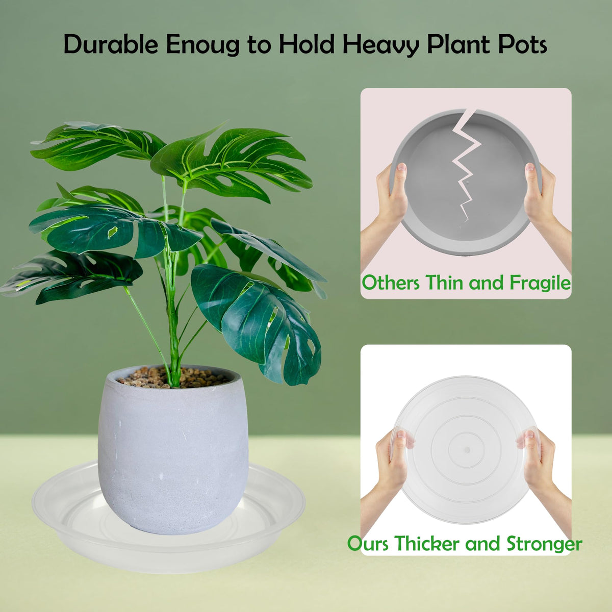 TNTIWQ clear 8-inch plant saucer demonstrates visible water levels