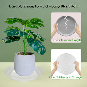 TNTIWQ clear 8-inch plant saucer demonstrates visible water levels