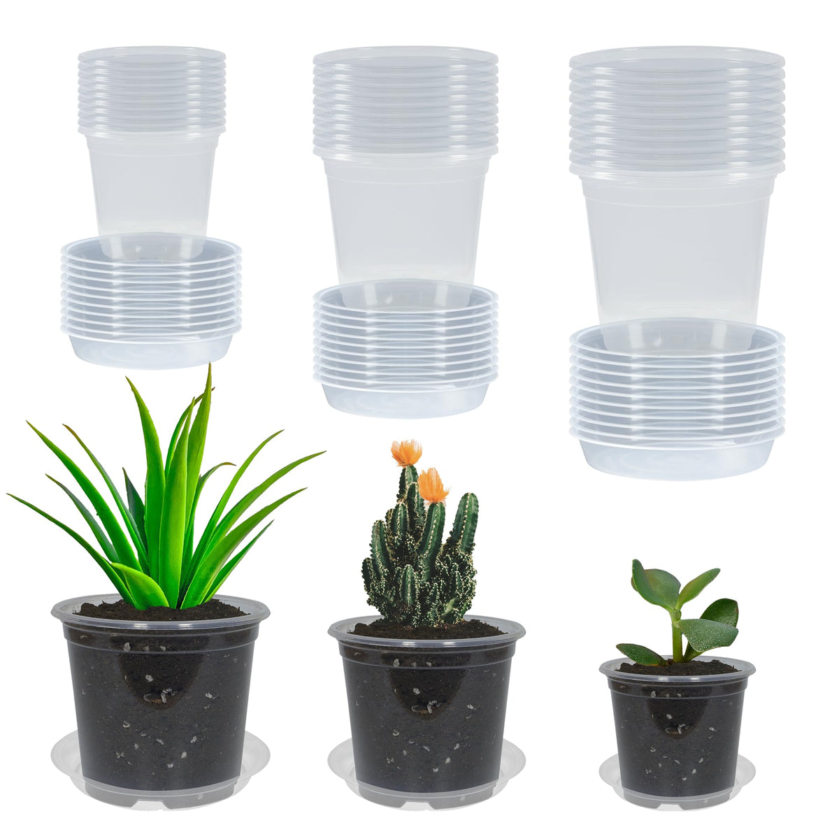 TNTIWQ clear 3-inch nursery pot with drainage for seedling observation.