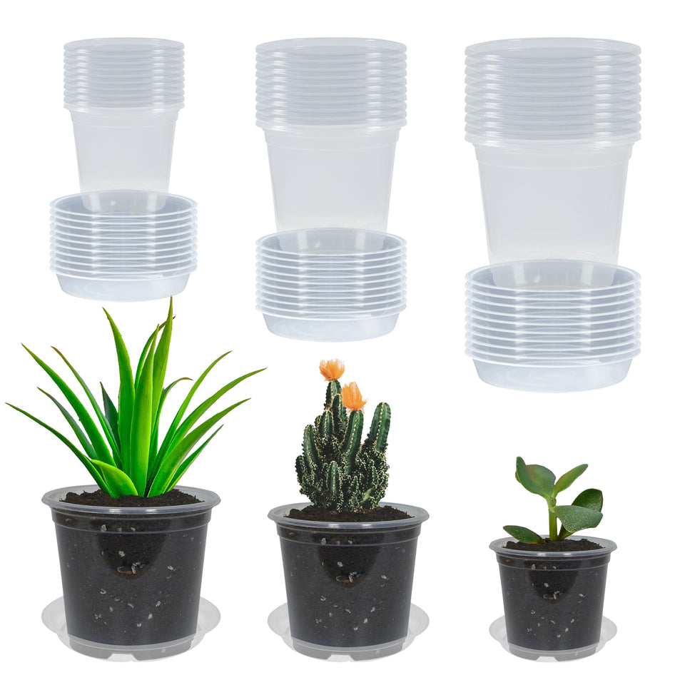 TNTIWQ clear 3-inch nursery pot with drainage for seedling observation.