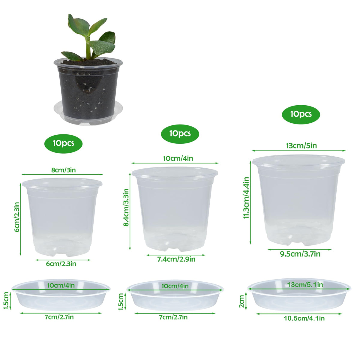 TNTIWQ clear 4-inch nursery pot showing root growth and moisture.