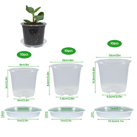 TNTIWQ clear 4-inch nursery pot showing root growth and moisture.