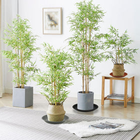 TNTIWQ compatible with ceramic, clay, and plastic pots.