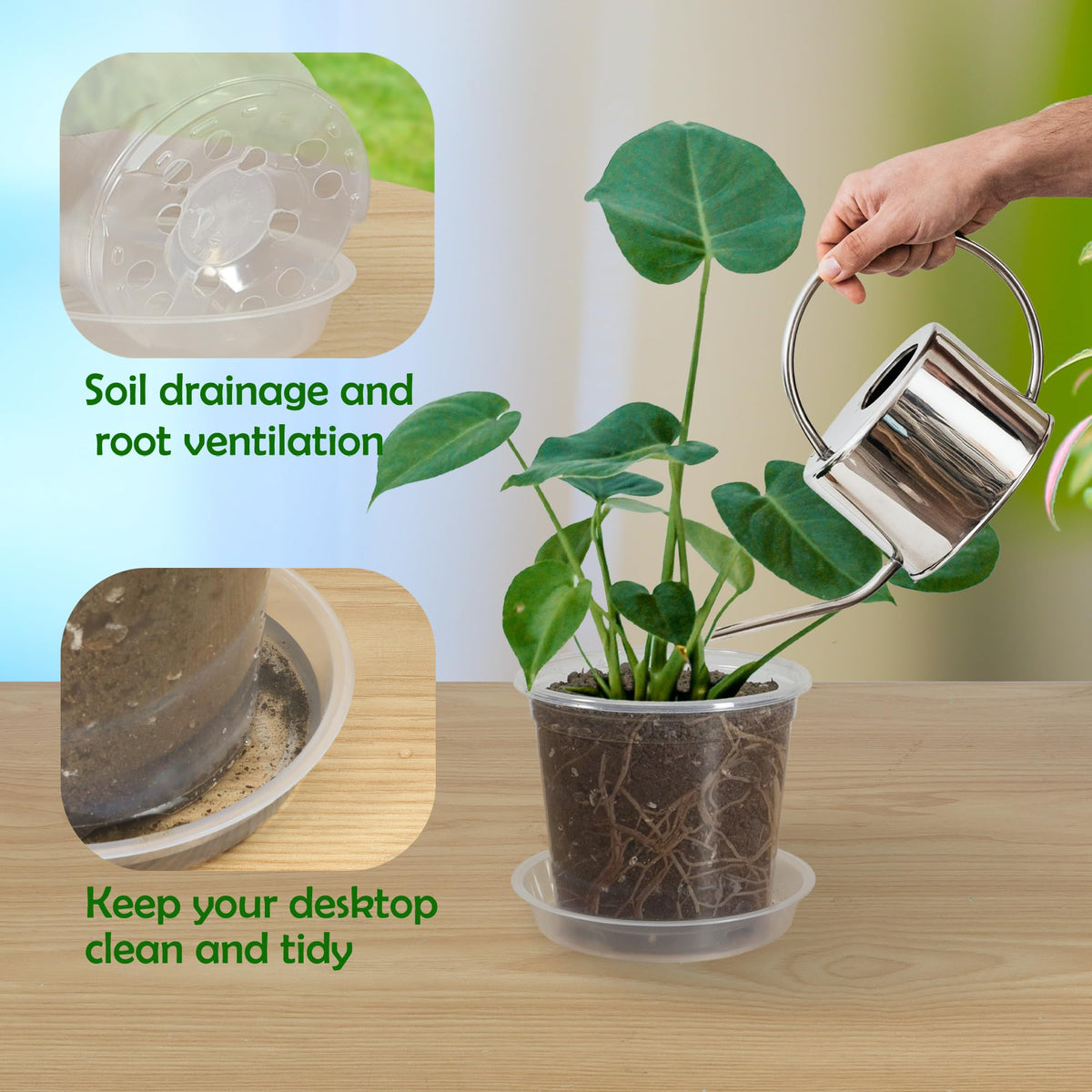 TNTIWQ pot with drainage holes provides ventilation and prevents waterlogging for healthy roots.